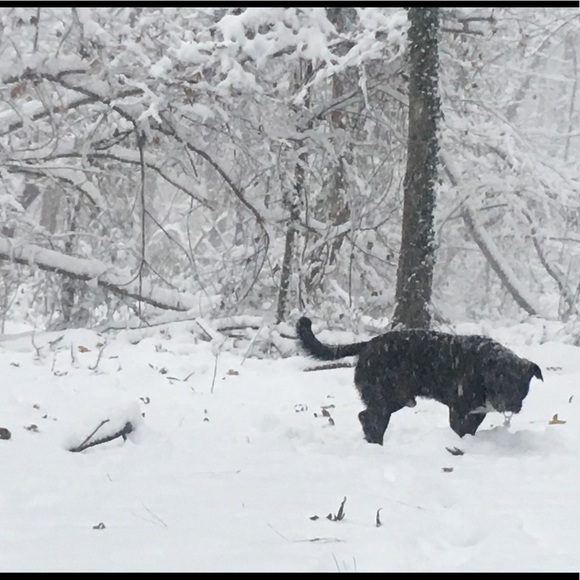 Meet your Poshmark Ambassador, Mads - Picture 4 of 6